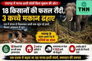 रायगढ़ में मानव-हाथी संघर्ष किस मुकाम की ओर? खेतों से घरों तक पहुंचा टकराव, एक दशक में लगातार गहराता संकट